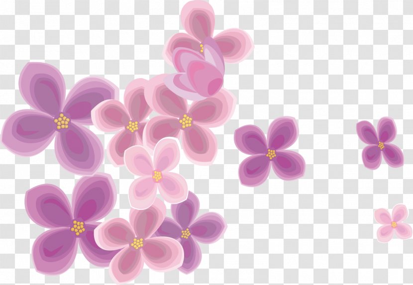 Cherry Blossom Cerasus Flower - Violet - Background Material Transparent PNG