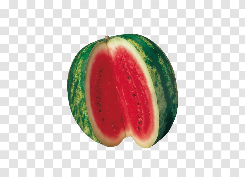 Watermelon Cartoon - Citrullus Plant Transparent PNG
