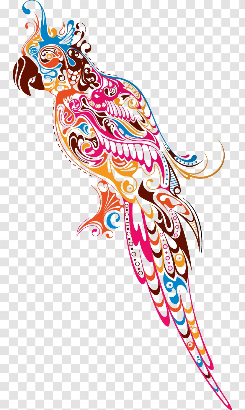 Parrot Lovebird - Macaw Transparent PNG