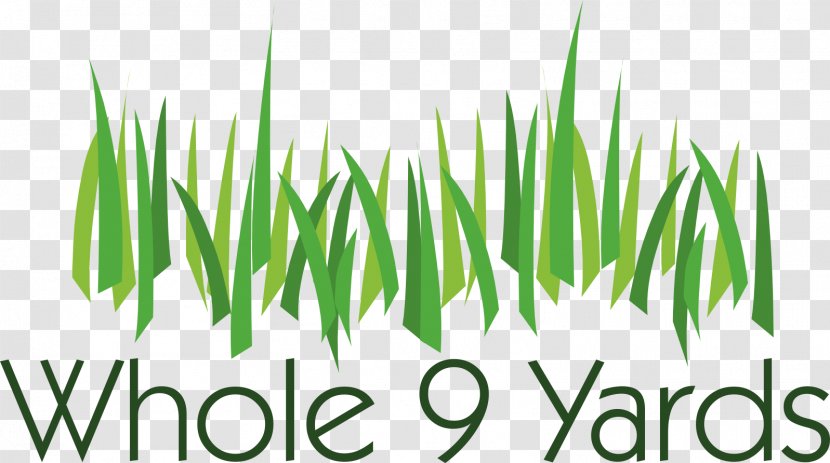 Troy Lawn Landscape Maintenance Gloversville Albany - Wheatgrass - Vinedresser And Transparent PNG