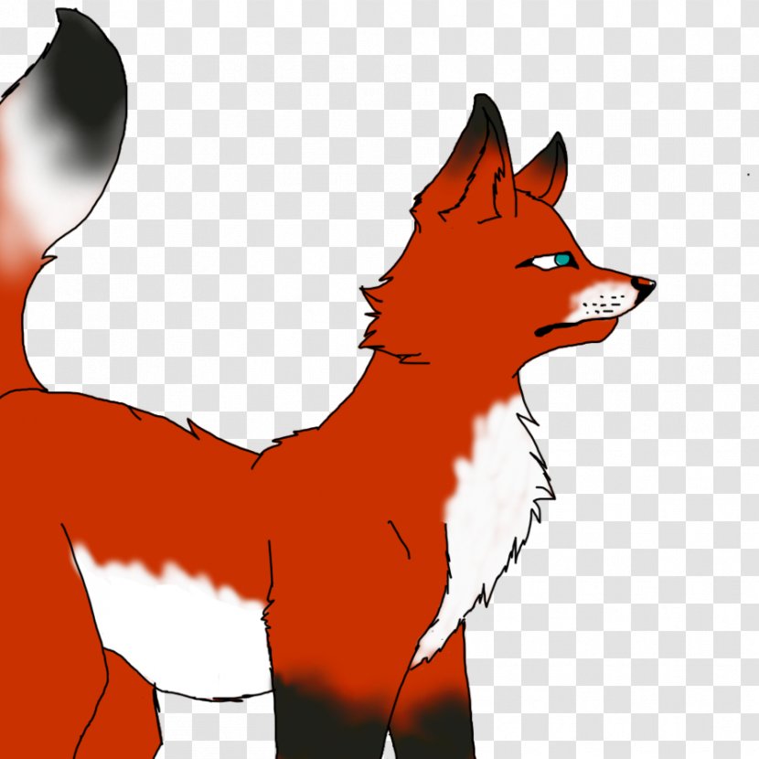 Red Fox Dog Canidae Whiskers - Like Mammal Transparent PNG