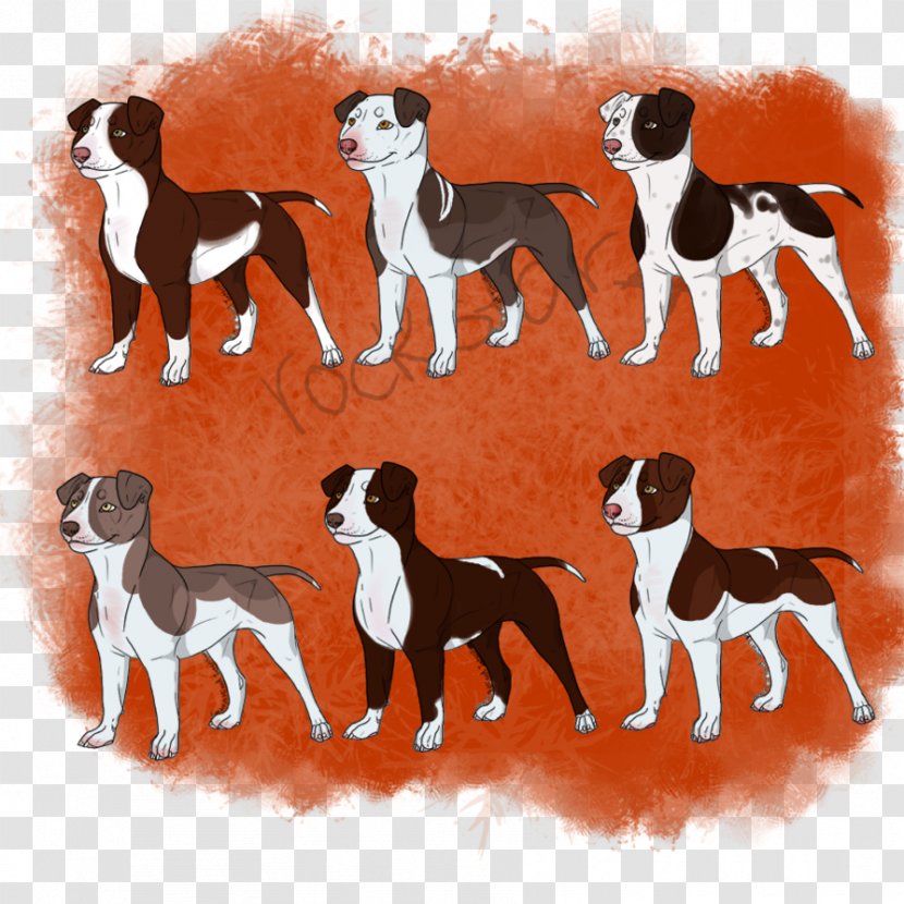 Dog Breed Dobermann American Bully Pit Bull Terrier German Shepherd - Kennel Transparent PNG