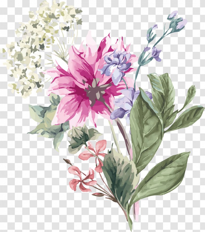 Hydrangea Flower Stock Illustration - Peruvian Lily - Hand Painted Spring Flowers Transparent PNG