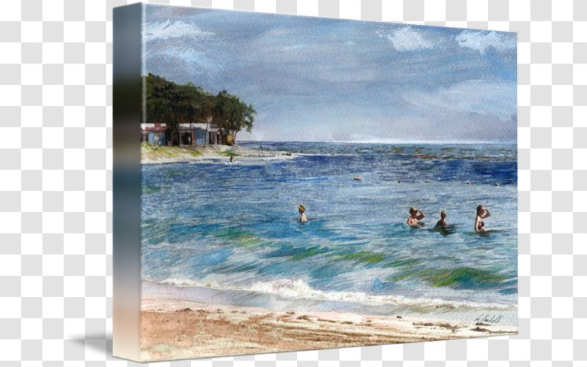 Shore Watercolor Painting Sea Beach - Paint - Bathing Beauty Transparent PNG