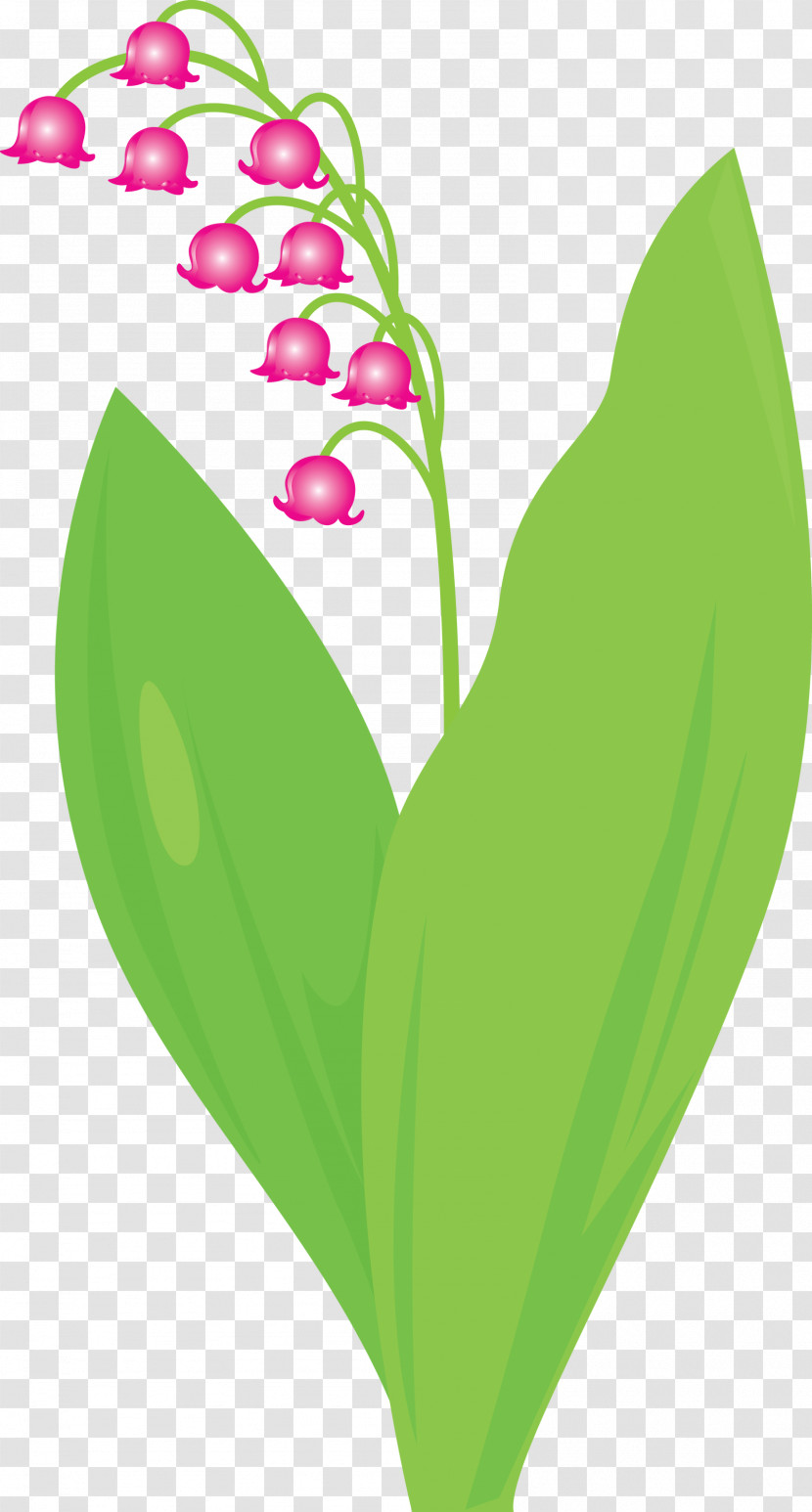 Lily Bell Flower Transparent PNG