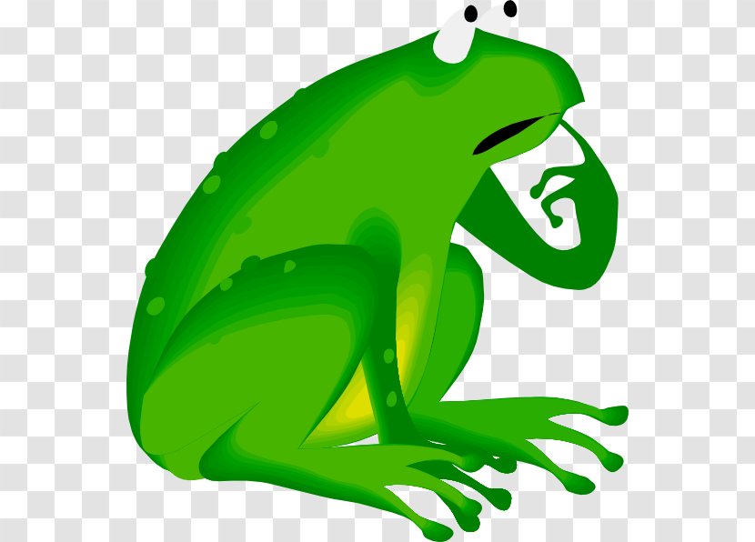 Frog Cartoon - Gray Treefrog - Agalychnis Shrub Transparent PNG
