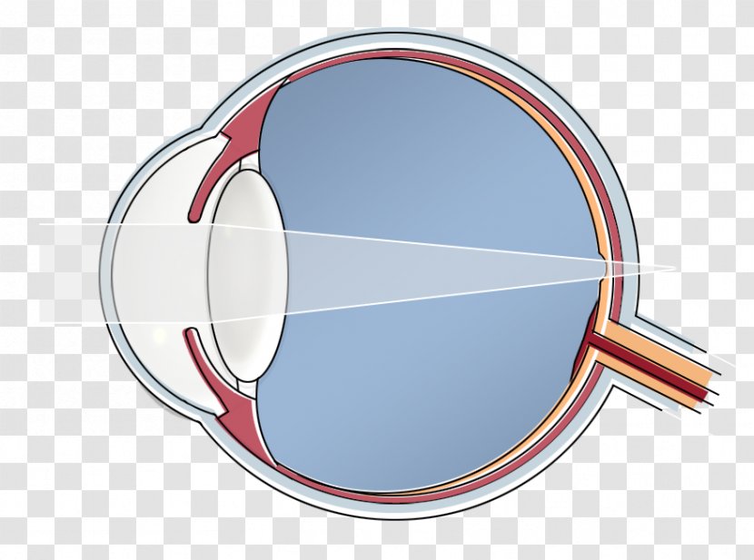 Mennen & De Cock Contactlenzen Human Eye - Mirror Transparent PNG