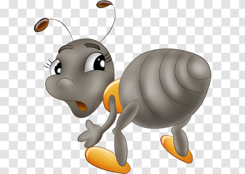 Bee Ant Drawing Clip Art - Flower - Gray Ants Transparent PNG