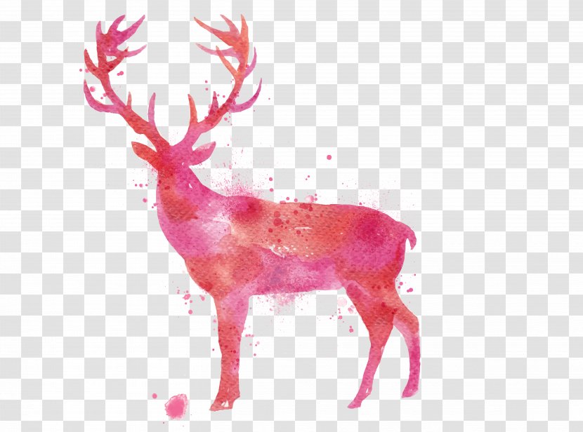 Deer Watercolor Painting Drawing - Antler Transparent PNG