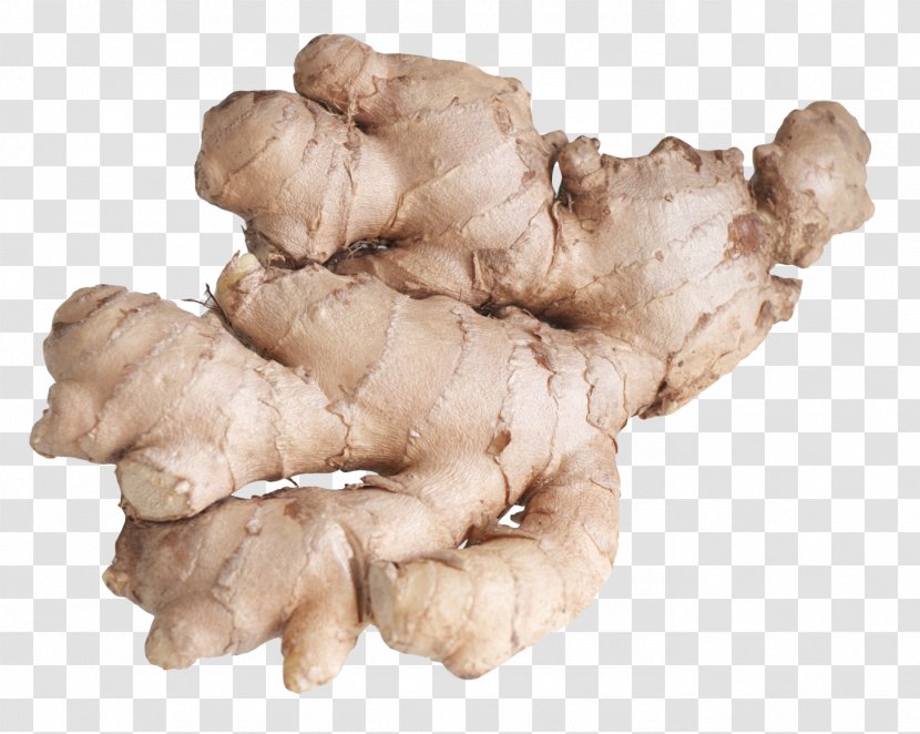 Ginger Herb Cure Health - Root Vegetable Transparent PNG