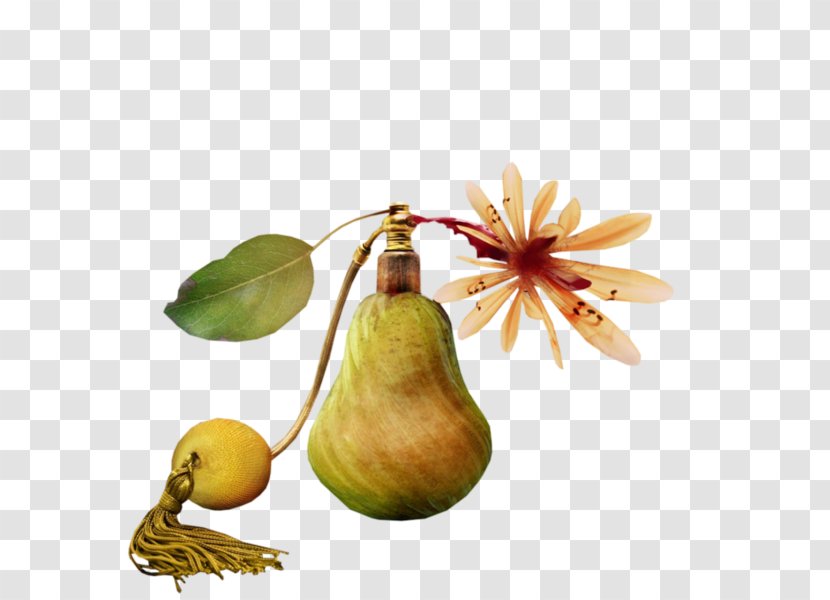 Pear Perfume - Photography - The New Concept Of Jewelry Pear-shaped Bulb Transparent PNG