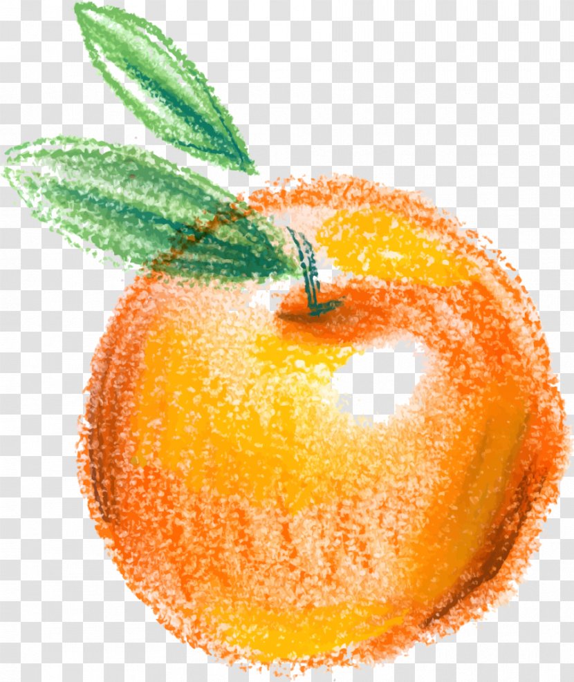 Clementine Apple Icon - Garnish - Hand Painted Yellow Transparent PNG