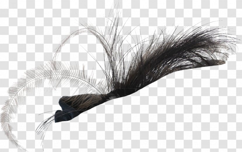 Feather White - Fur Transparent PNG