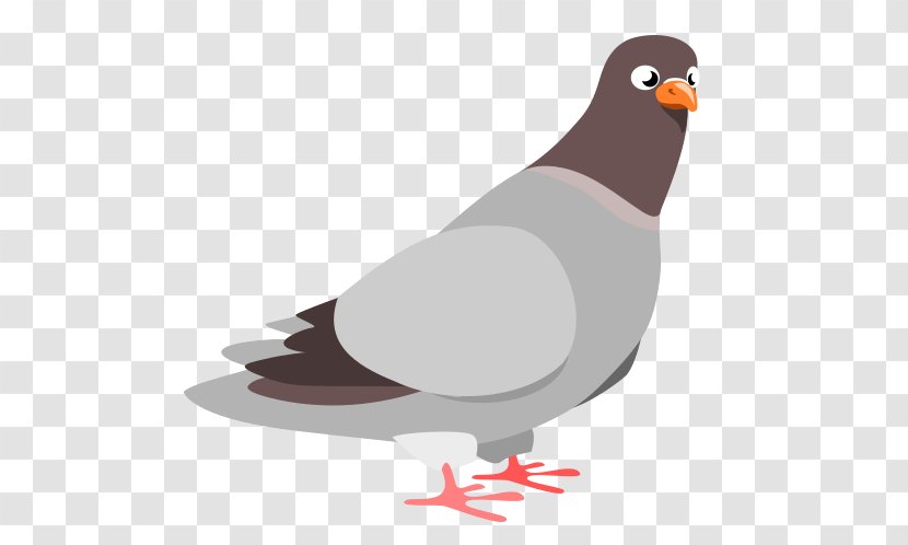 Columbidae Homing Pigeon Clip Art - Bird Transparent PNG