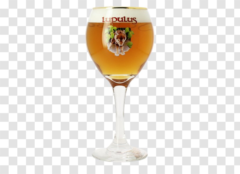Brauerei Lupulus Wheat Beer Wine Glass Cocktail - Tableware Transparent PNG