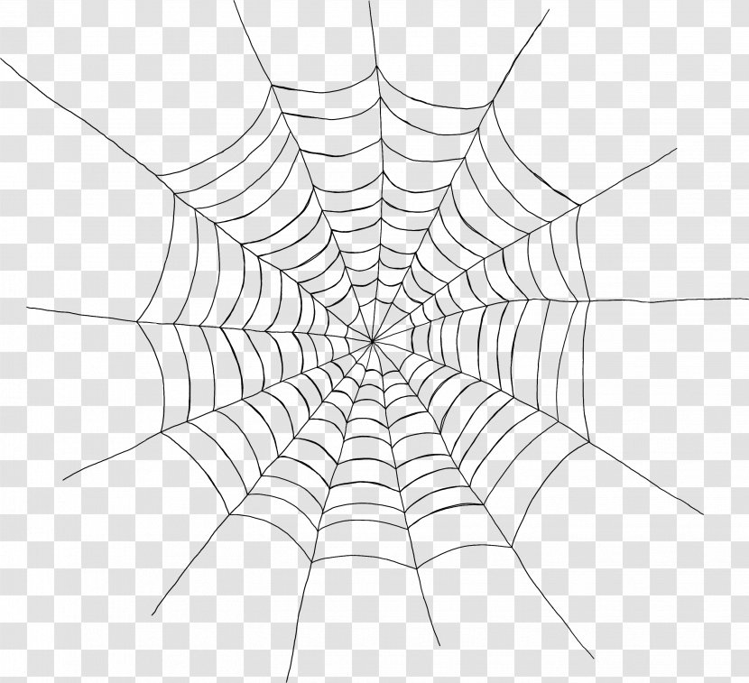 Spider Web Clip Art - Area - Round Transparent PNG