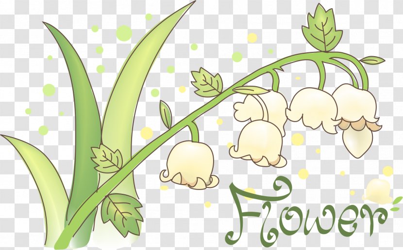 Lily Of The Valley Euclidean Vector - Floristry - Hand-painted Transparent PNG