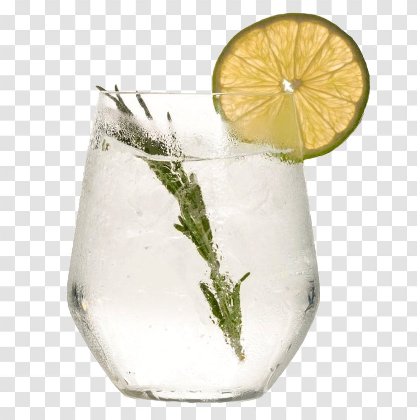 Lime Lemon-lime Vodka And Tonic Gin Highball Glass - Lemonlime - Plant Lemonade Transparent PNG
