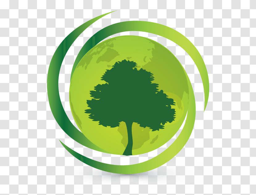 Základná škola Park Angelinum 8 Business Indian Green Building Council Cloud Tree Clip Art Transparent PNG