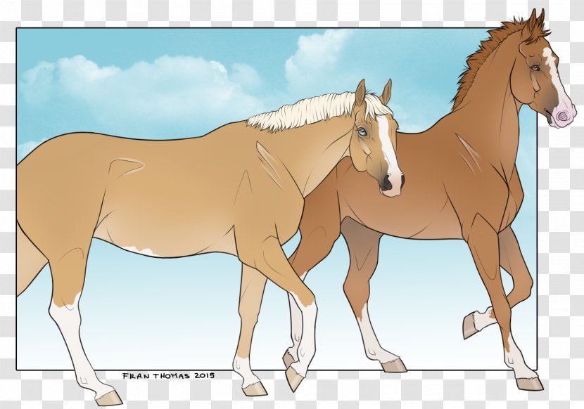 Mule Foal Stallion Mare Mustang Transparent PNG