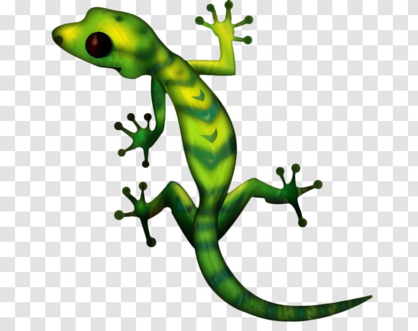 Gecko Image Hashtag Video Photograph - Youtuber - Anole Transparent PNG