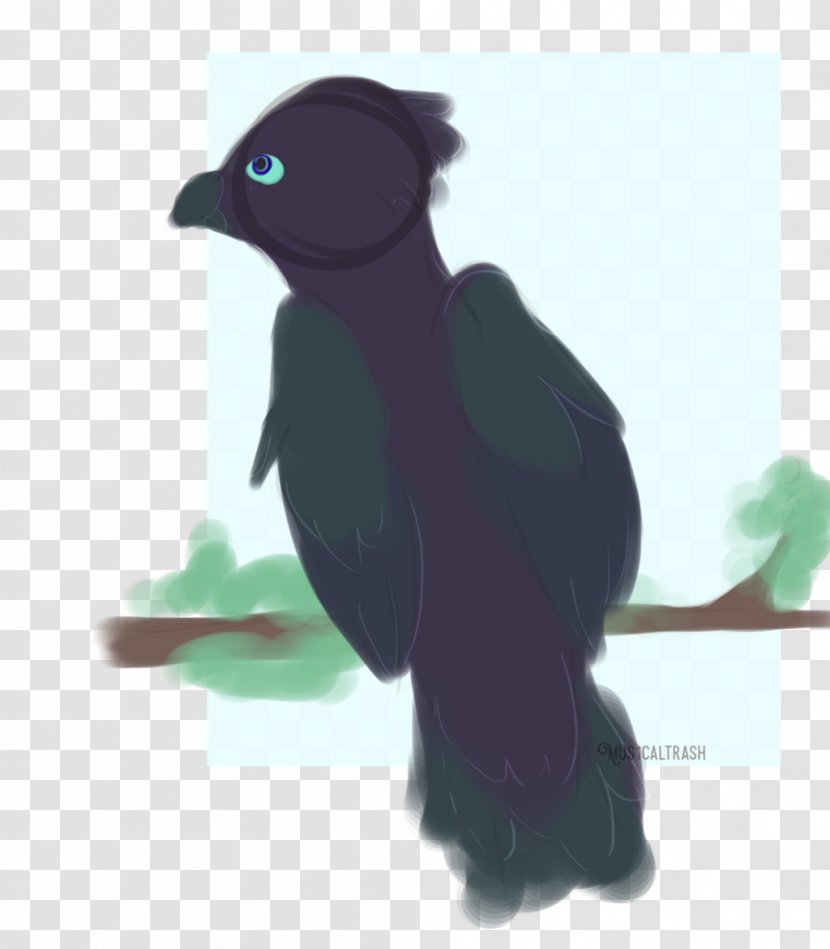 Beak Flightless Bird Transparent PNG