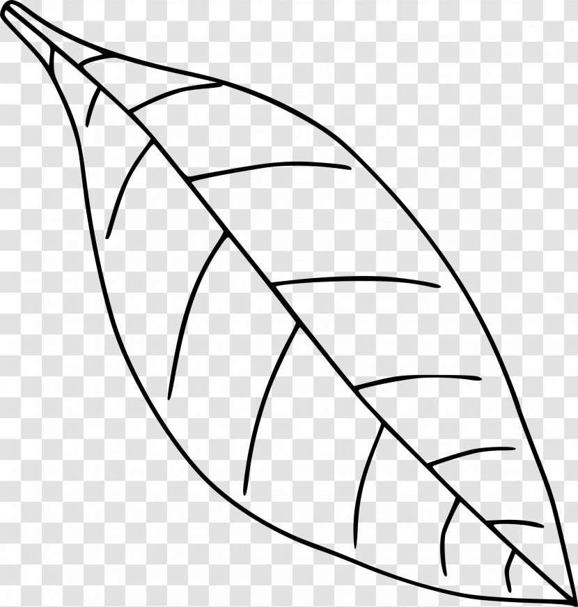 Leaf Drawing Black And White Clip Art - Plant Stem - Draw Transparent PNG