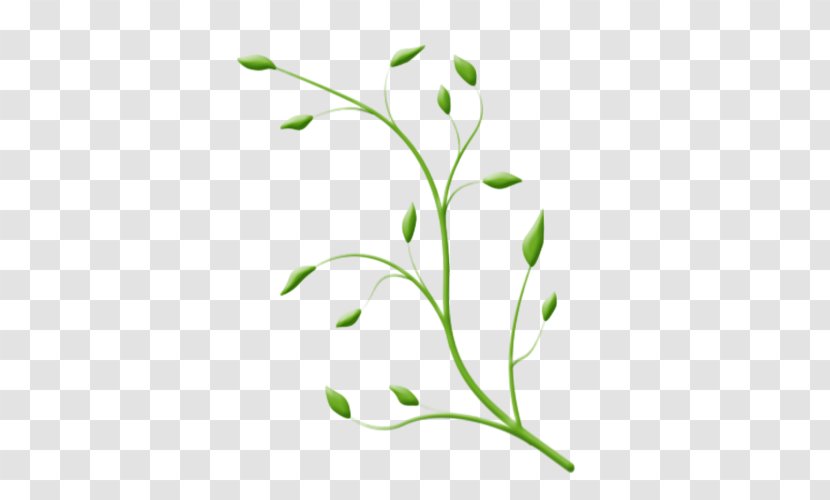 Plant Stem Leaf Flower Theatre Clip Art - Tree Transparent PNG