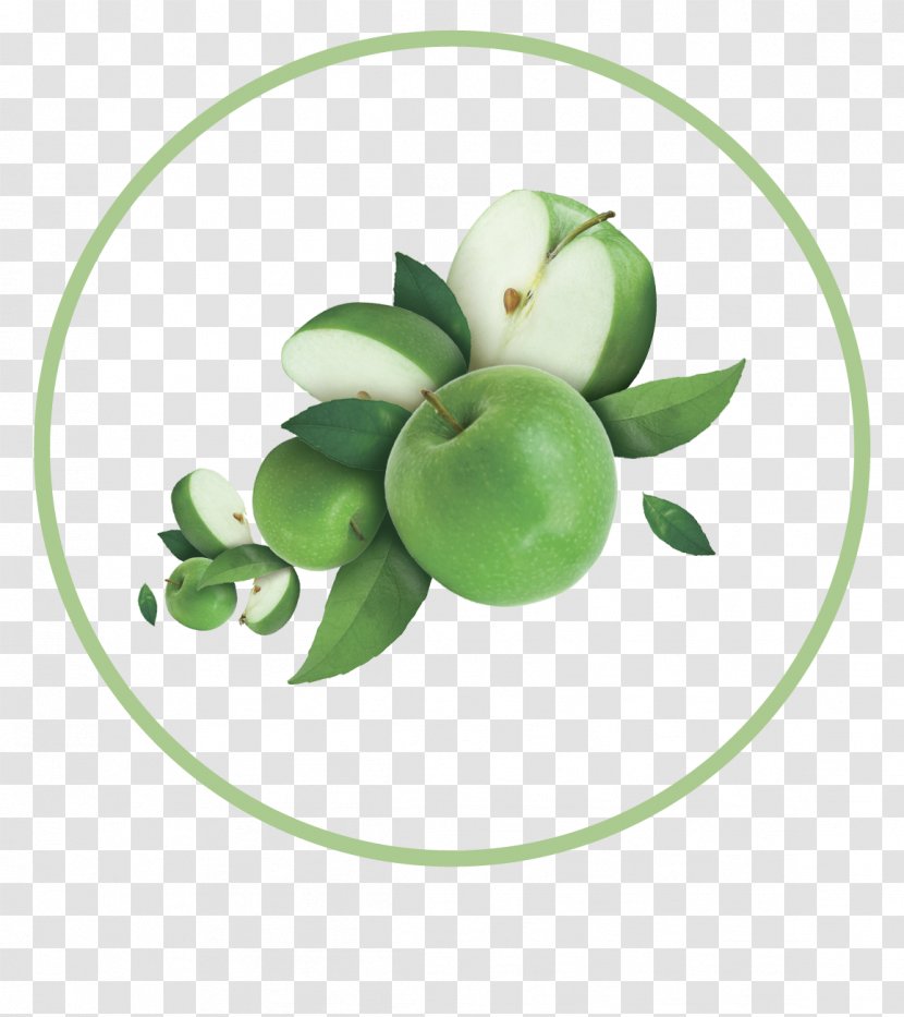 Fruit Apple Auglis - Green Fresh Decorative Patterns Transparent PNG