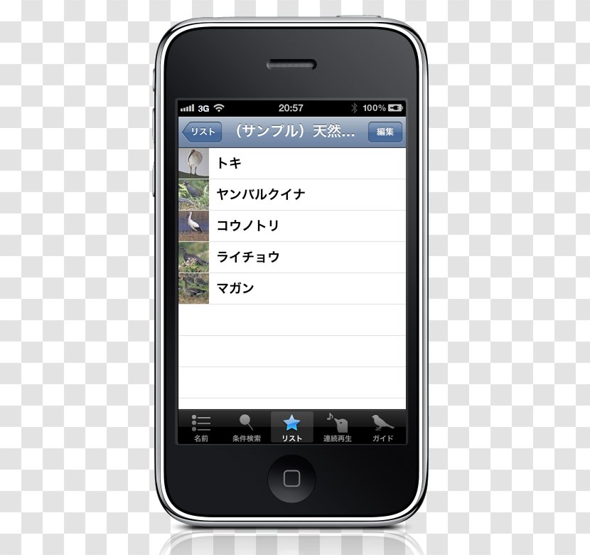 Feature Phone Smartphone Mobile Phones Windows Portable Media Player - JapBirds Transparent PNG