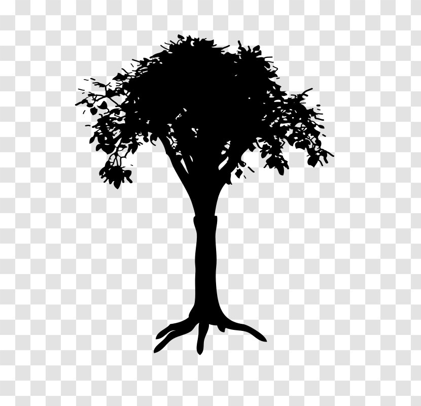 Branch Silhouette Tree Drawing Transparent PNG
