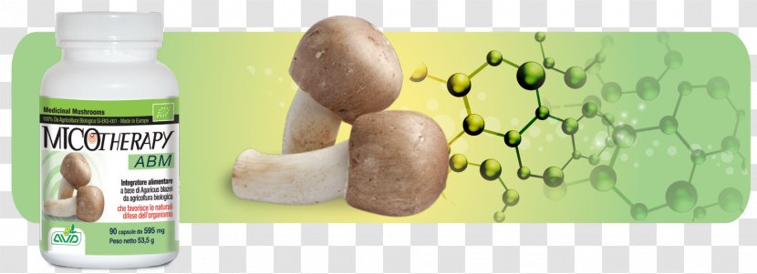 Agaricus Subrufescens Medicinal Fungi Fungus Common Mushroom - Medicine Transparent PNG