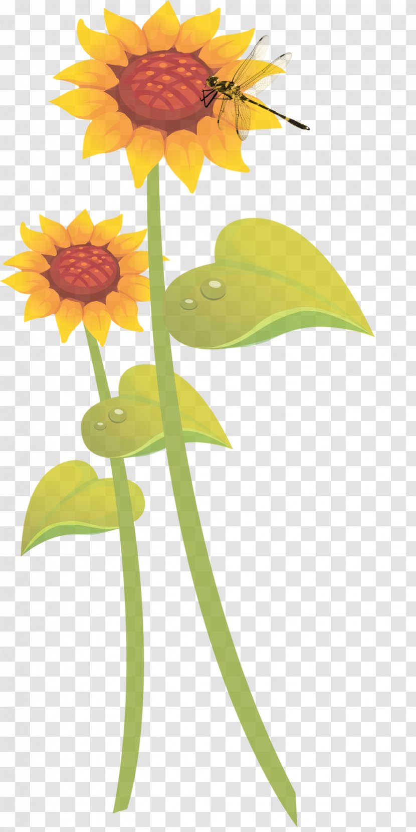 Common Sunflower Student Movement Illustration - Hand-painted Decorative Plants Transparent PNG