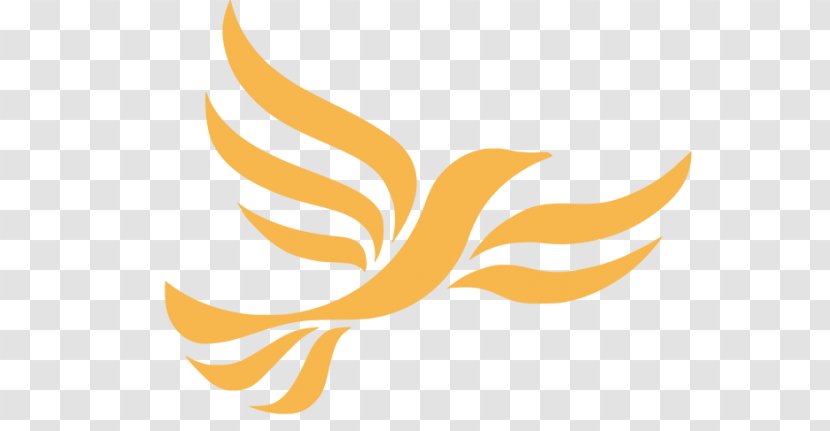 United Kingdom General Election, 2010 Sheffield Hallam Liberal Democrats Cheadle 2017 - Leaf - Councillor Transparent PNG