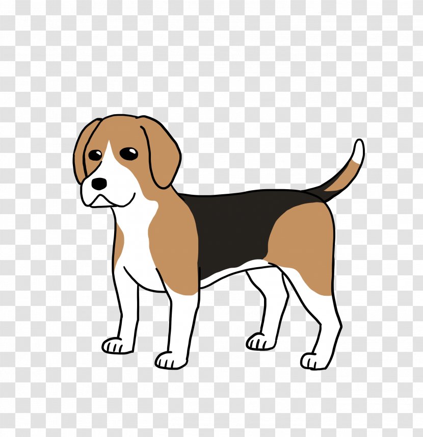 Beagle Harrier English Foxhound Puppy Dog Breed - Like Mammal Transparent PNG