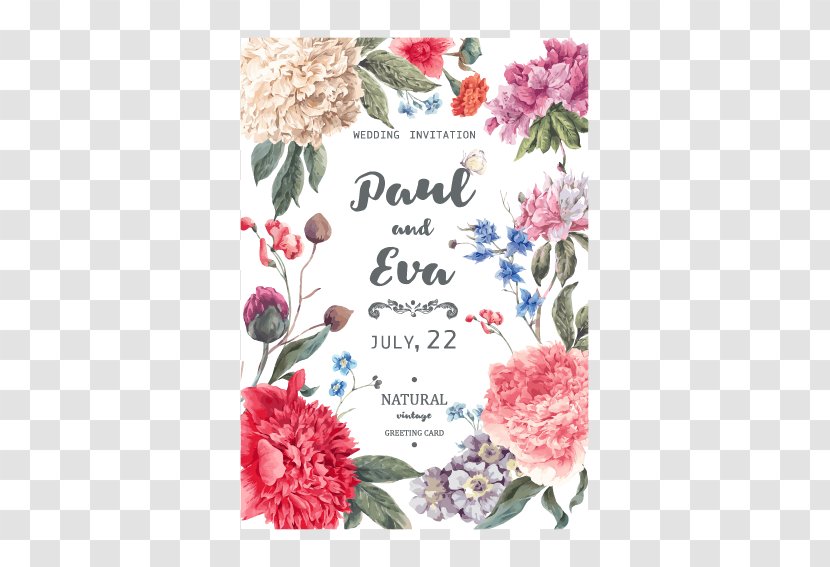 Watercolor Painting Stock Photography Illustration - Royalty Free - Flower Posters Transparent PNG