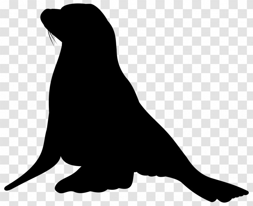 Sea Lion Dog Mammal Canidae - Vertebrate Transparent PNG