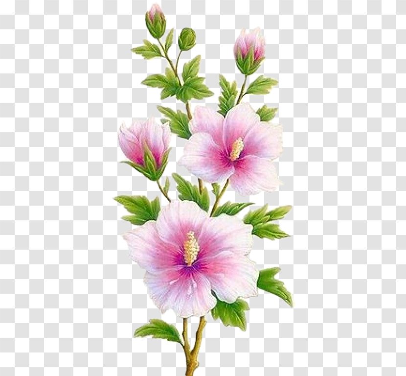 Decoupage Flower Art Floral Design - Hibiscus - PANO Transparent PNG