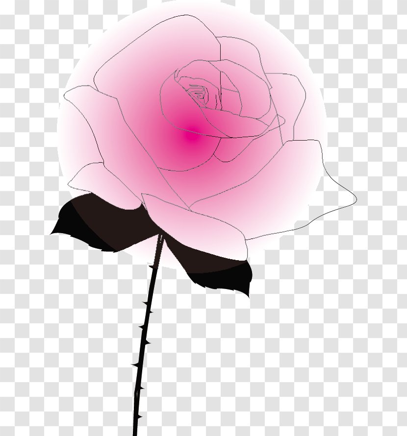 Garden Roses Pink M - Heart - Rose Transparent PNG