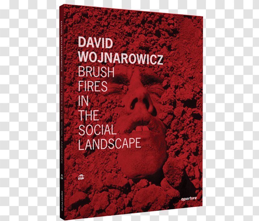 David Wojnarowicz: Brush Fires In The Social Landscape Photography Painting Wildfire International Pop - Writing Transparent PNG