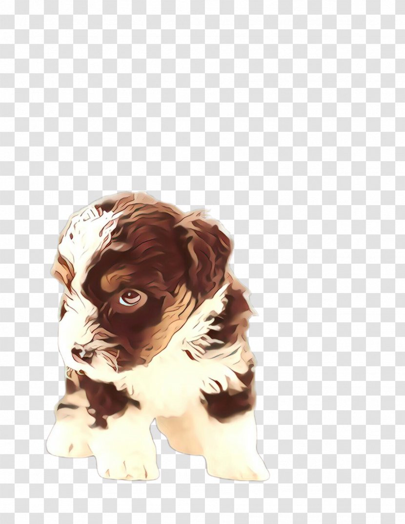 Cute Cartoon - Havanese - Shih Tzu English Springer Spaniel Transparent PNG