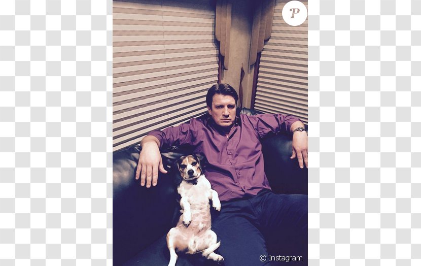 Dog Breed Puppy Crossbreed - Snapshot - Nathan Fillion Transparent PNG