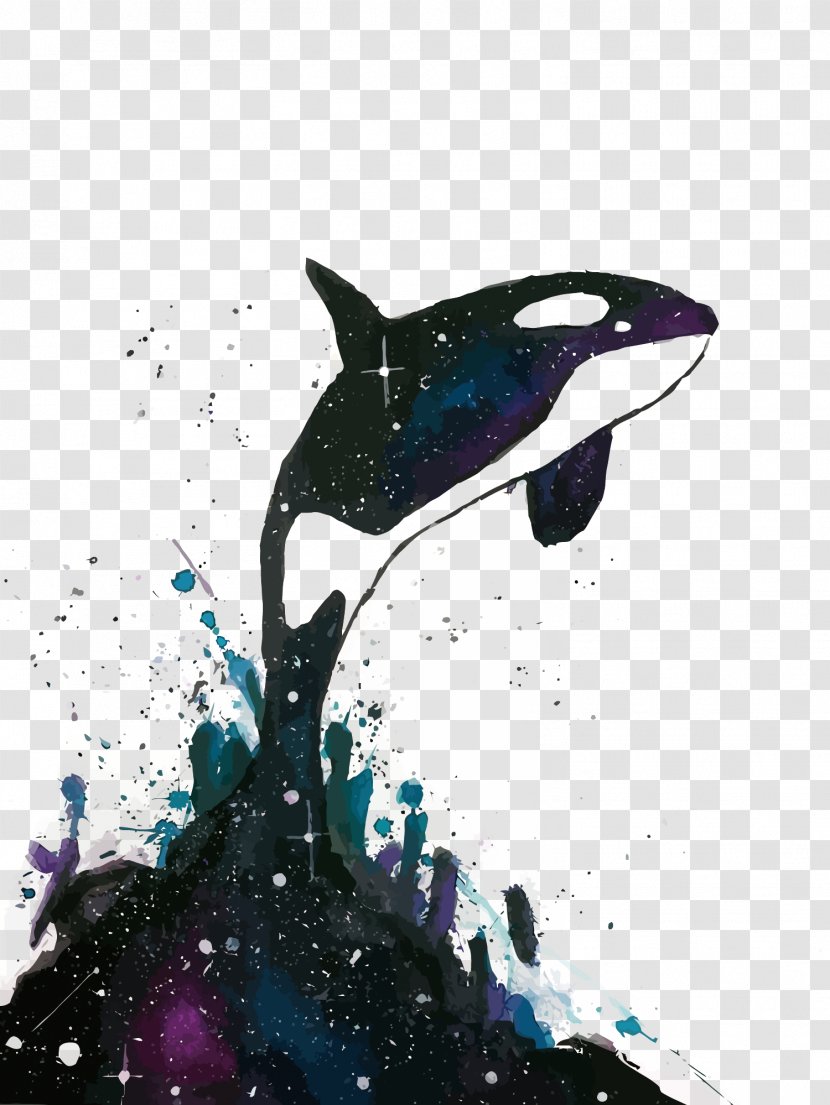 Vector Leap Of The Killer Whale - Illustration - Cetacea Transparent PNG
