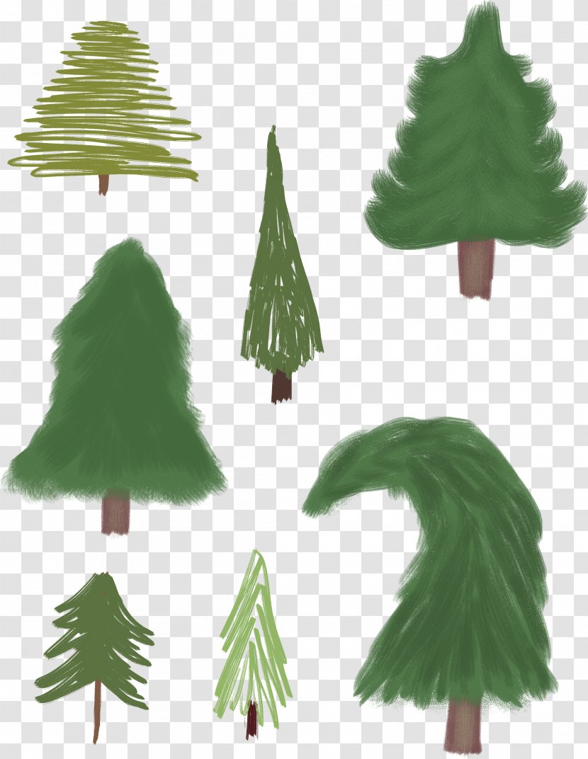 Fir Spruce Pine Christmas Tree Transparent PNG