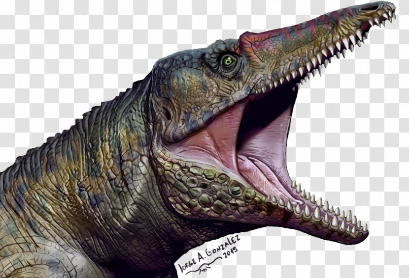 Velociraptor Paleontology Tyrannosaurus Chatham County, North Carolina Predator - Crocodile - Carnifex Transparent PNG