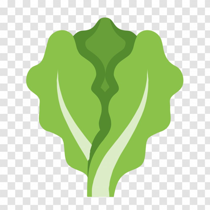 Organic Food Hamburger Lettuce - Organism Transparent PNG
