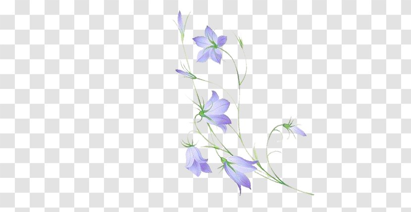 Petal Flower Wallpaper - Lilac - Blue China Guangzhou Transparent PNG