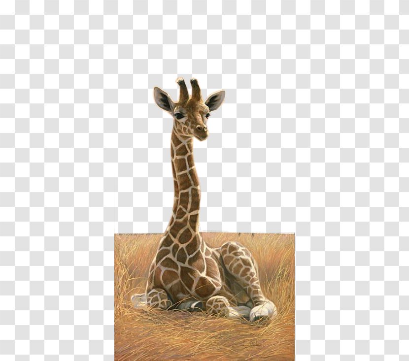 Northern Giraffe Rothschilds Okapi Painting Art - Infant Transparent PNG