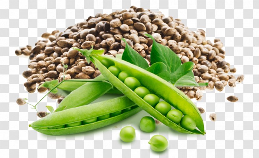 Pea Vegetarian Cuisine Health Vegetarianism Food - Vegetable Transparent PNG