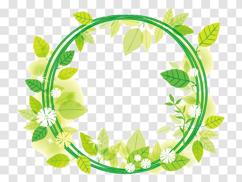 Green Leaf Background - Plant Transparent PNG